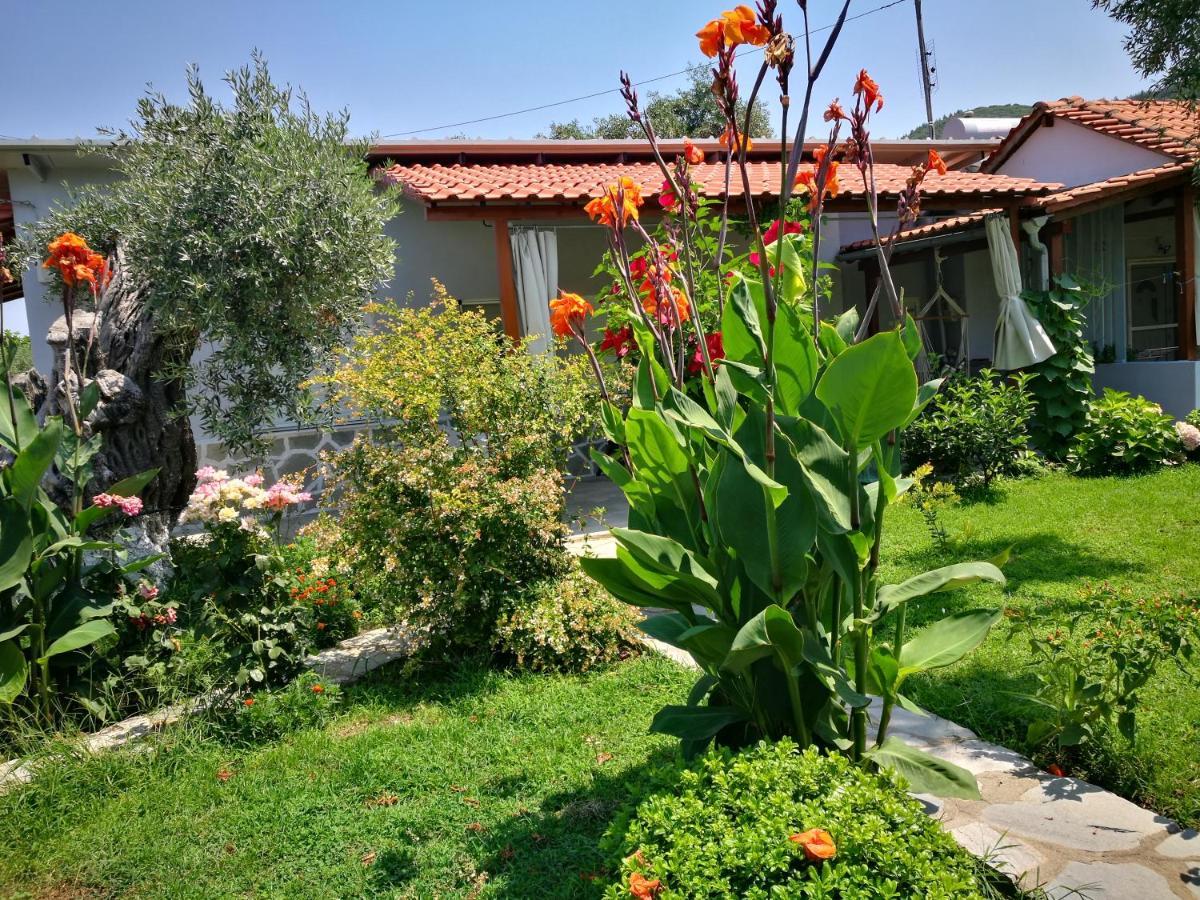 Cristi Apartments Skala Rachoni  Extérieur photo