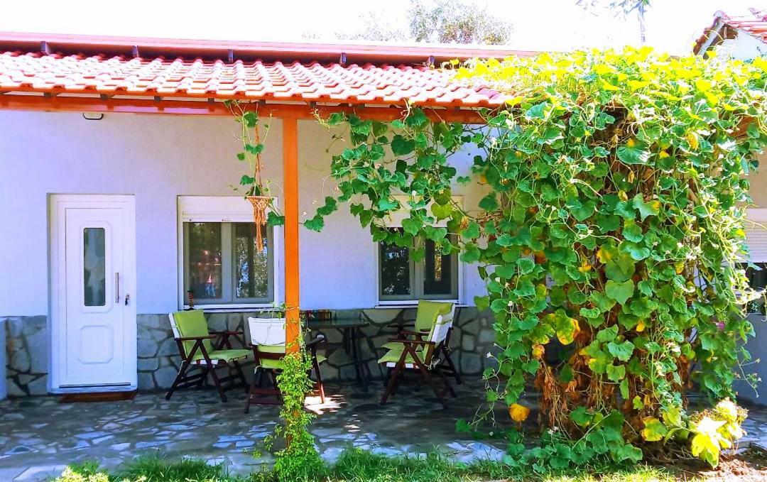 Cristi Apartments Skala Rachoni  Extérieur photo